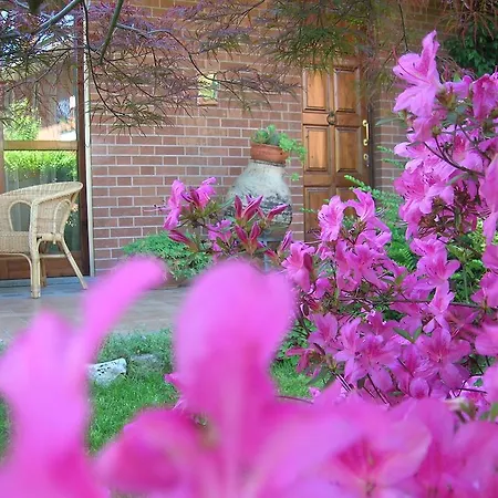 住宿加早餐酒店 安娜住宿加早餐旅馆 蒙卡列里