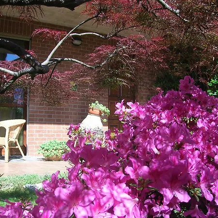 住宿加早餐酒店 安娜住宿加早餐旅馆